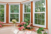 Professional Door and Window Repair and Replacement